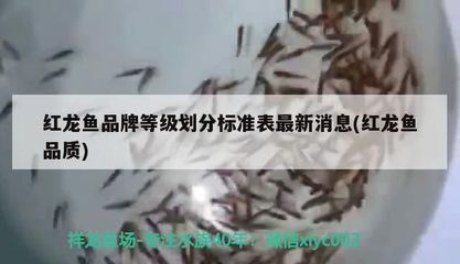 南宁市万江园林器材经营部(南宁万江园林器材经营部)